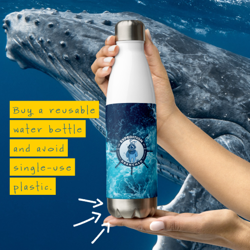 The Sea Stainless Steel Water Bottle | Expedition Drenched.
